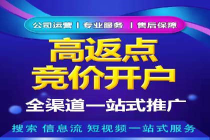 案例剖析：关键词竞价排名成功之道